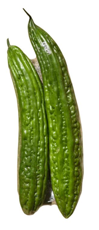 Ampalaya