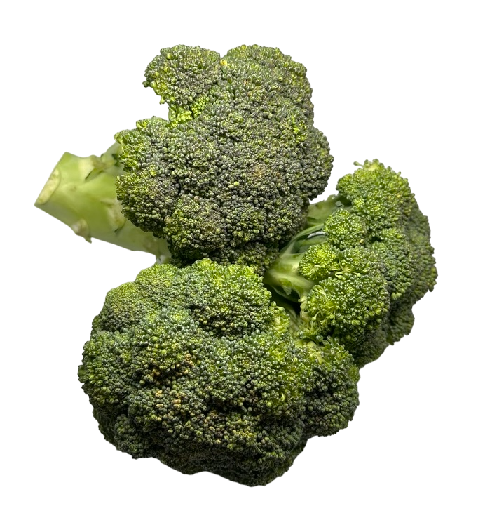 Broccoli