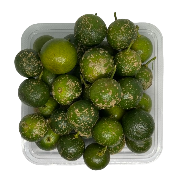 Calamansi