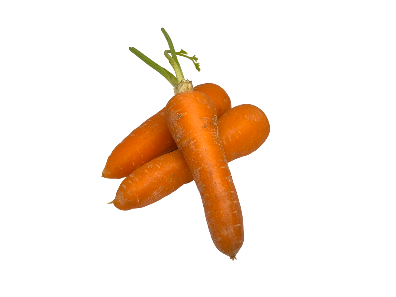 Carrots