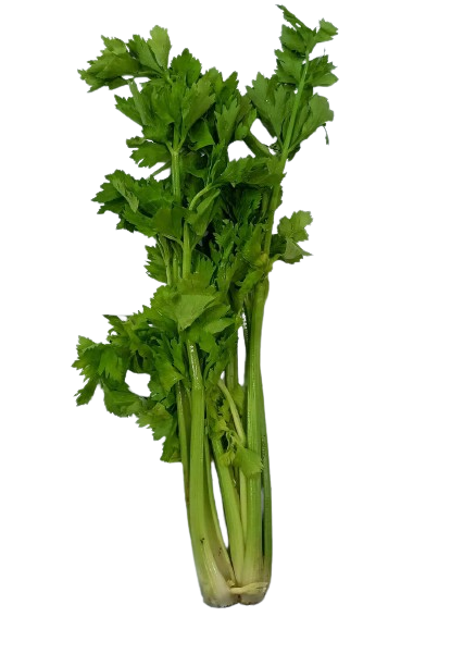 Celery