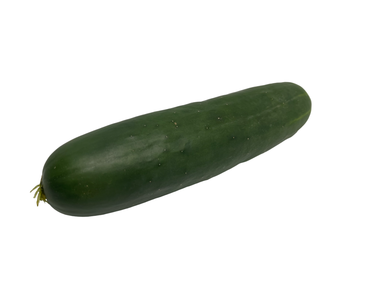 Cucumber