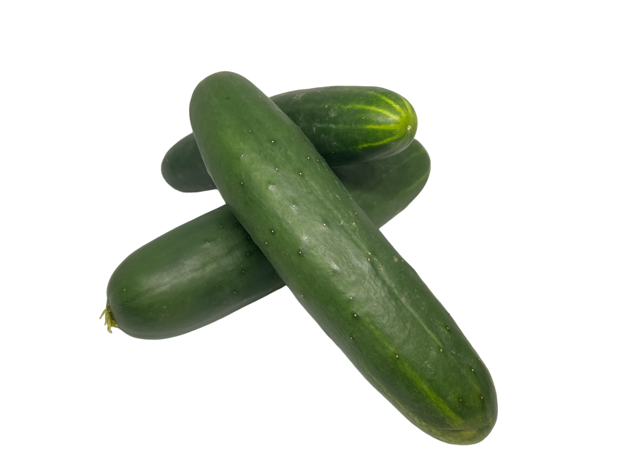 Cucumber