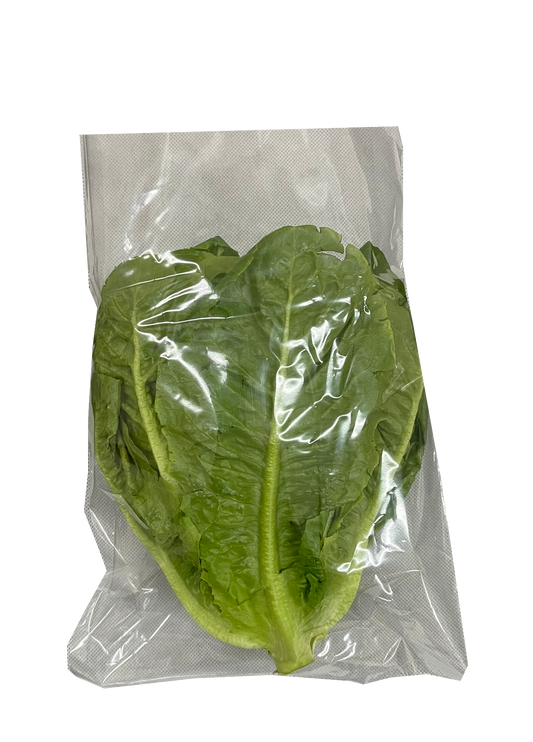 Lettuce Romaine